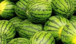 极品反差好安 吃瓜大赛,反差萌神降临！吃瓜大赛见证“极品好安”的极致魅力