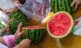 吃瓜视频大全高清