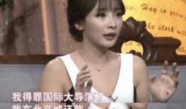 社会热点话题事件 演艺圈明星系列长篇,演艺圈明星的崛起与争议风云录