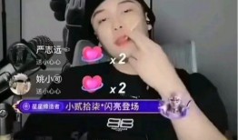 网红黑料是什么意思